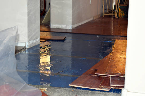 Professional Sewage Cleanup technician working in Higginsville, MO