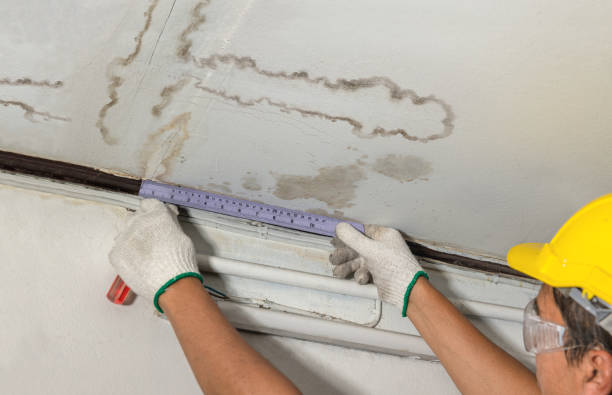 Reliable Sewage Cleanup contractor in Higginsville, MO by Water Damage Irwin